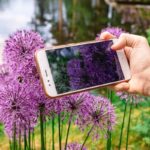 植物辨識 APP 推薦